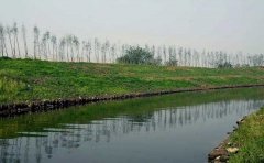 回顧2012鎮(zhèn)江水污染 礦泉水賣(mài)瘋了 回顧2012鎮(zhèn)江水污染 礦泉水賣(mài)瘋了