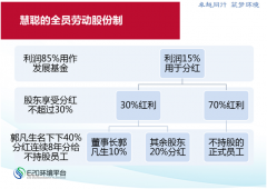 慧聰、正泰、TCL股權(quán)激勵典型案例分析 慧聰、正泰、TCL股權(quán)激勵典型案例分析