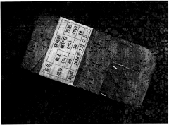 污泥制磚技術(shù) 污泥制磚技術(shù)
